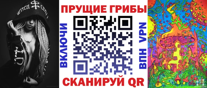 Псилоцибиновые грибы Psilocybe  ОМГ ОМГ ТОР  Чистополь  наркошоп 